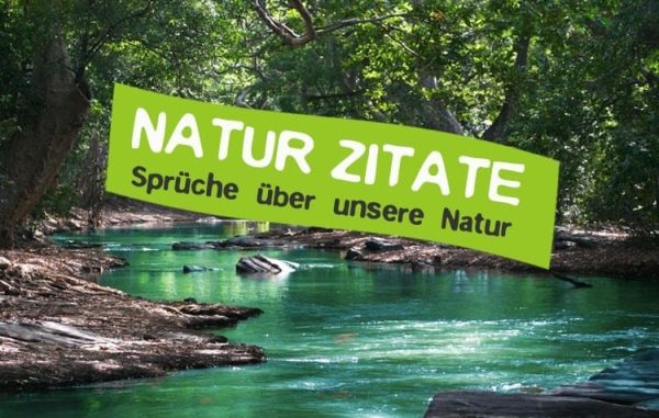 Umwelt Zitate Inspirierende Sprüche und Aphorismen