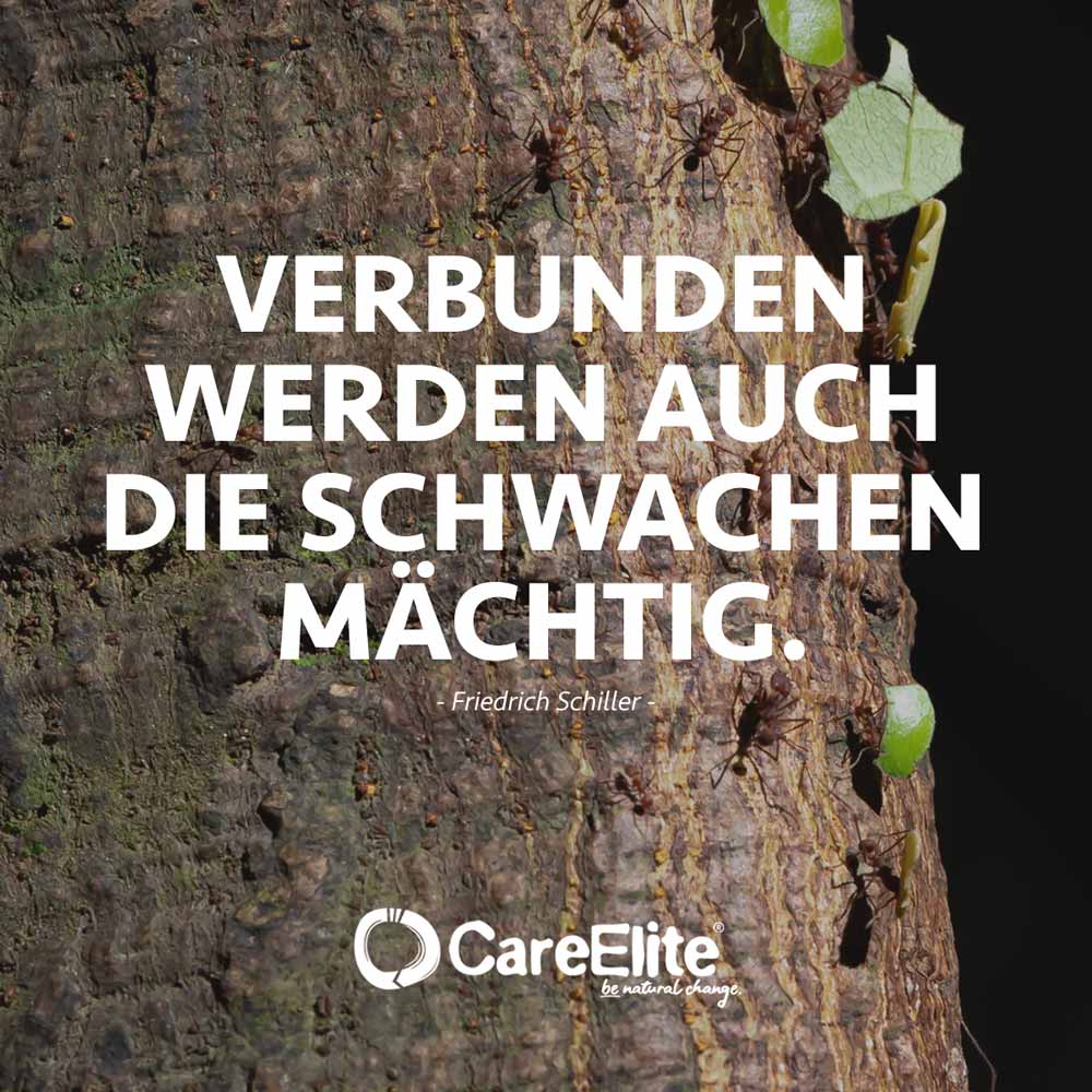Verbunden werden die Schwachen mächtig Zitat Schiller